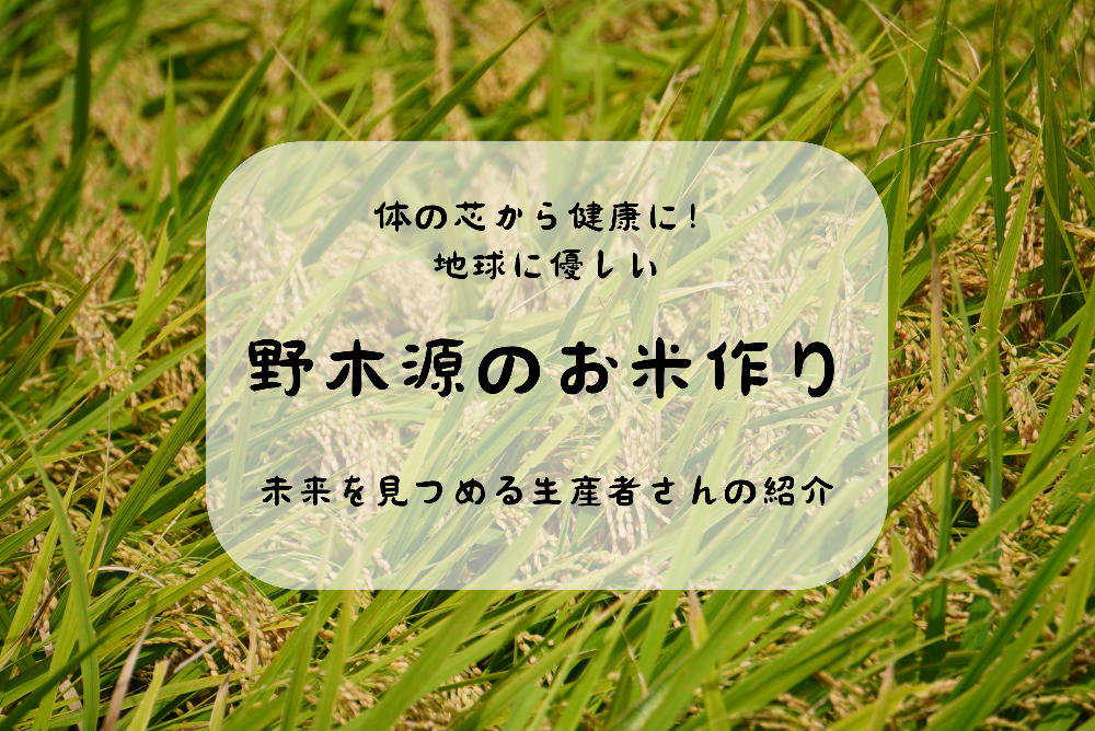 野木源の紹介