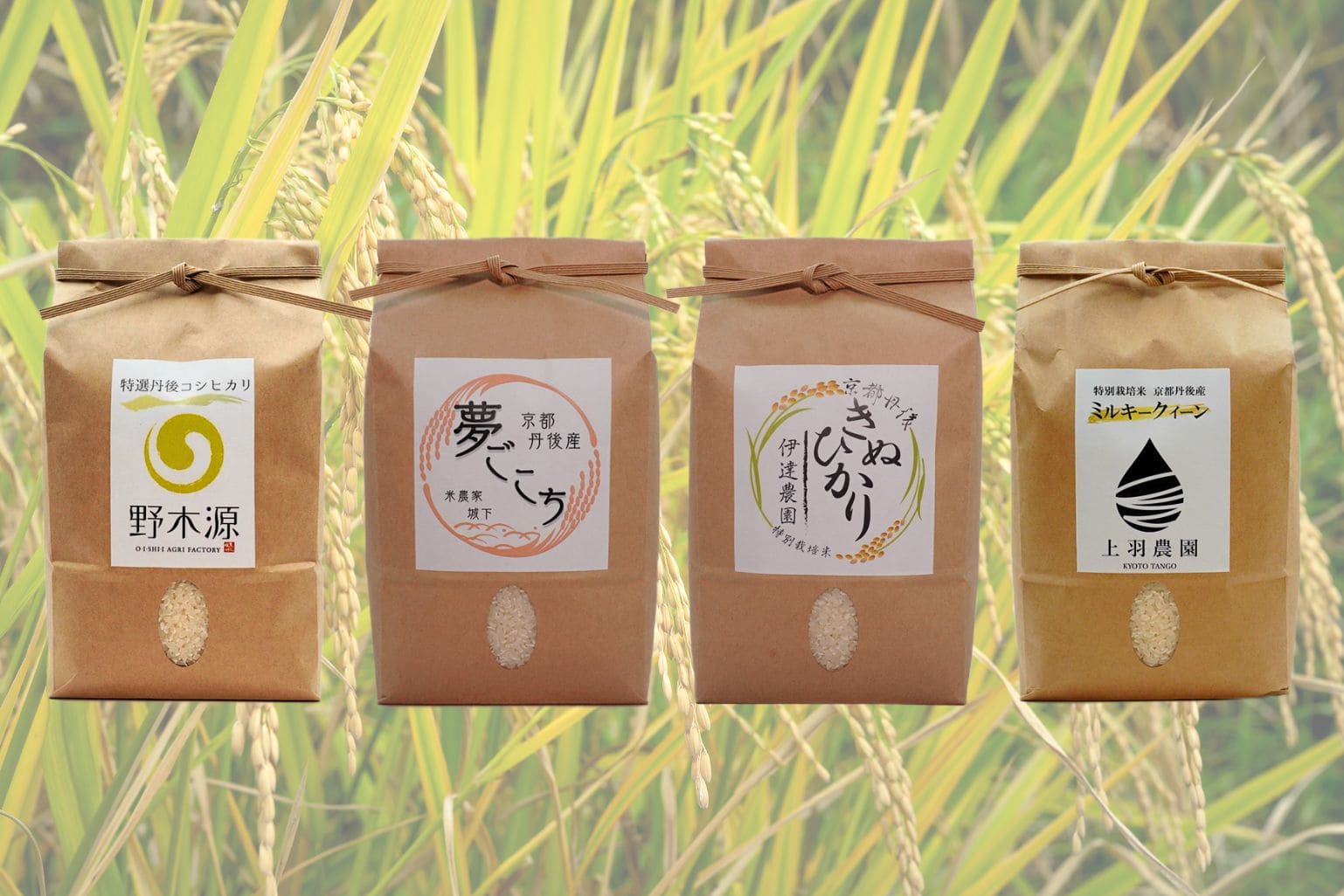 米は種類がありすぎて良くわからない!という方のために