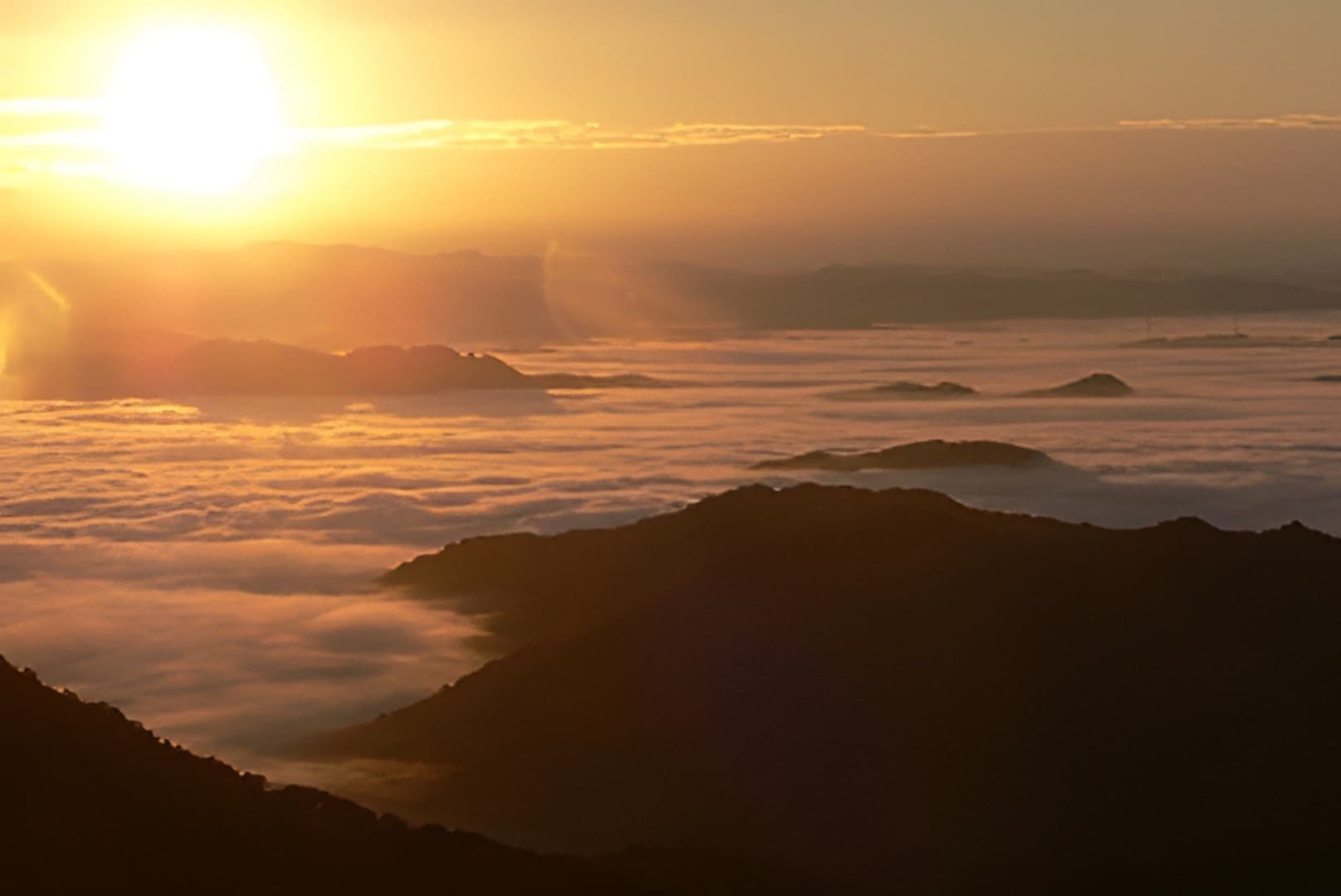 大江山の雲海