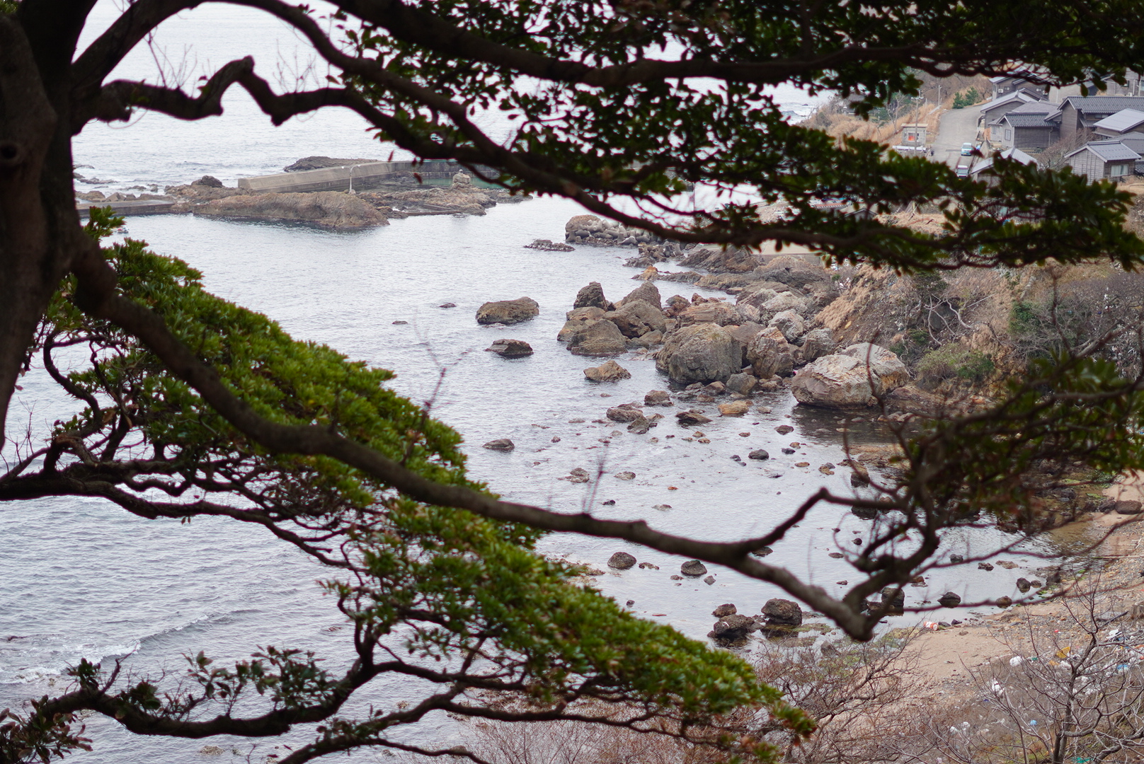 京丹後市網野町磯地域