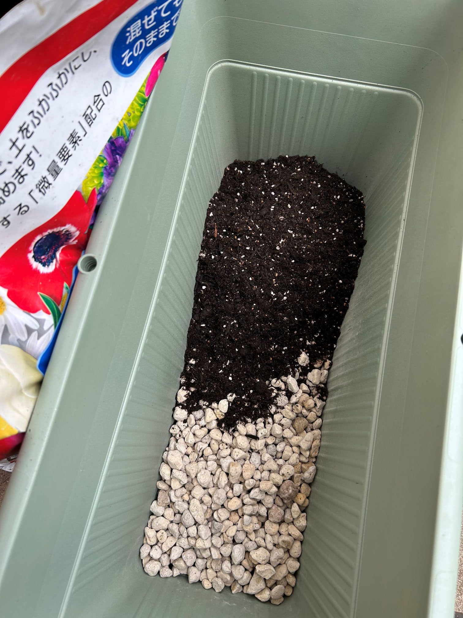 植え付けのとき