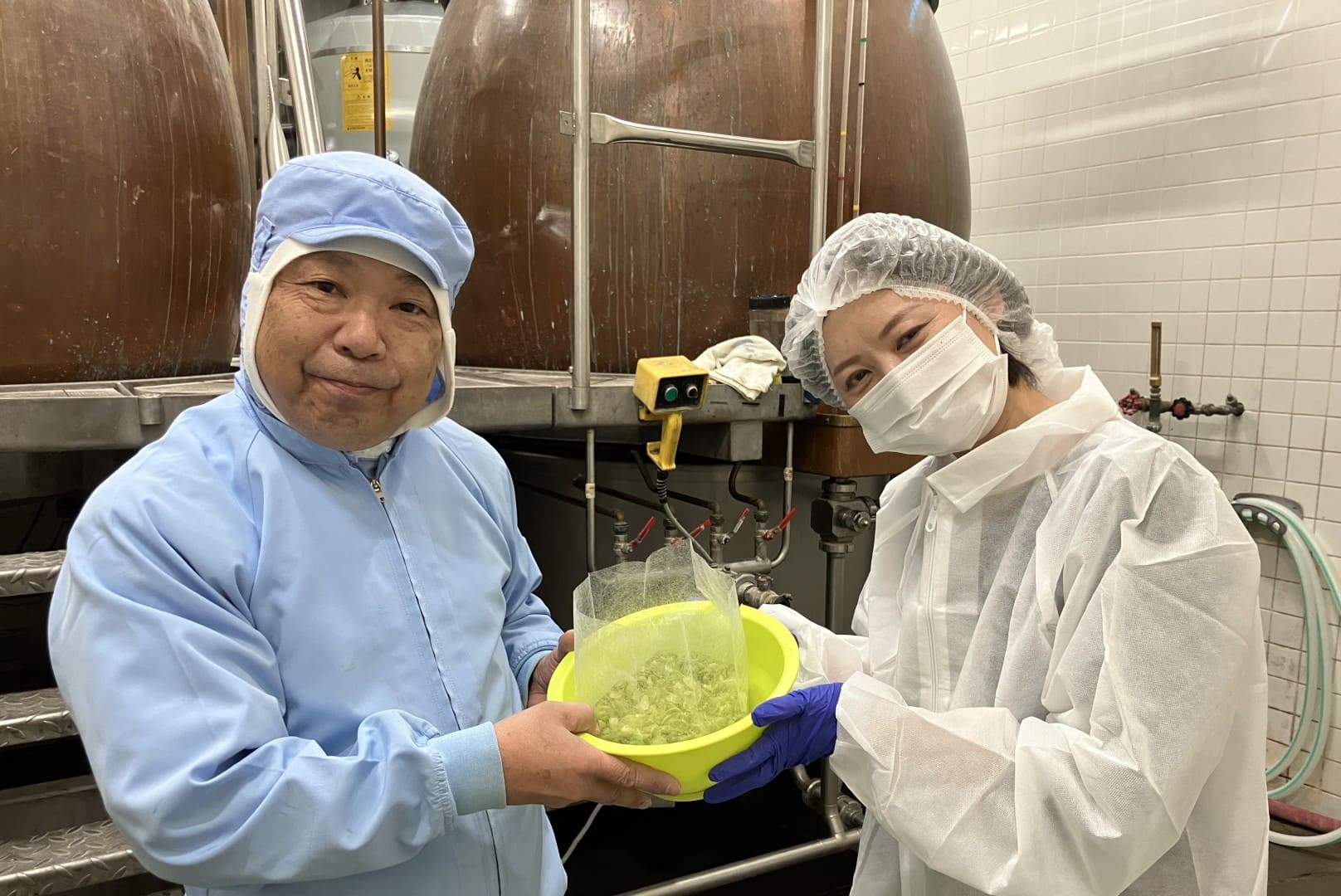 ビール工房にて摘み取った生のホップを粉砕
