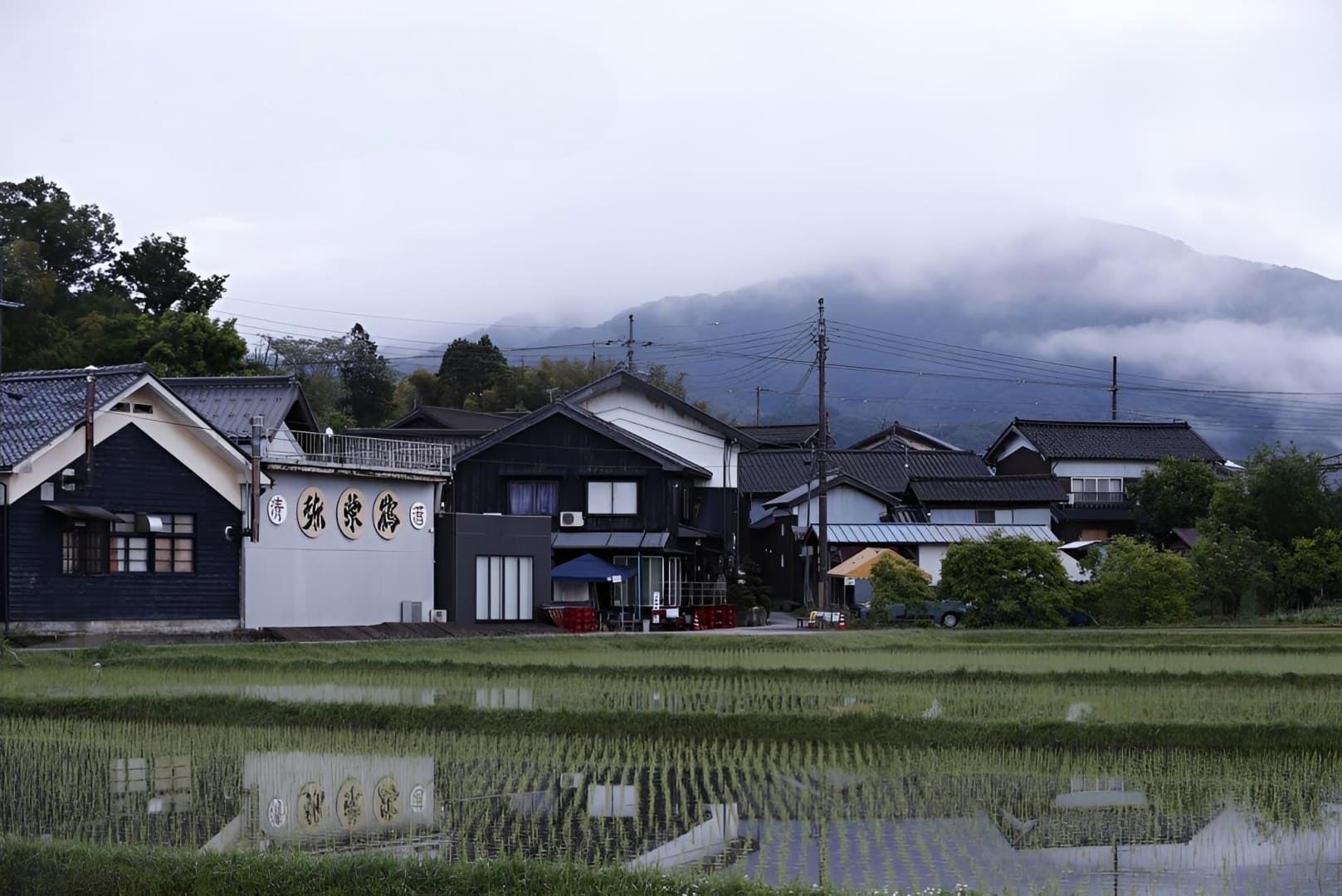 竹野酒造
