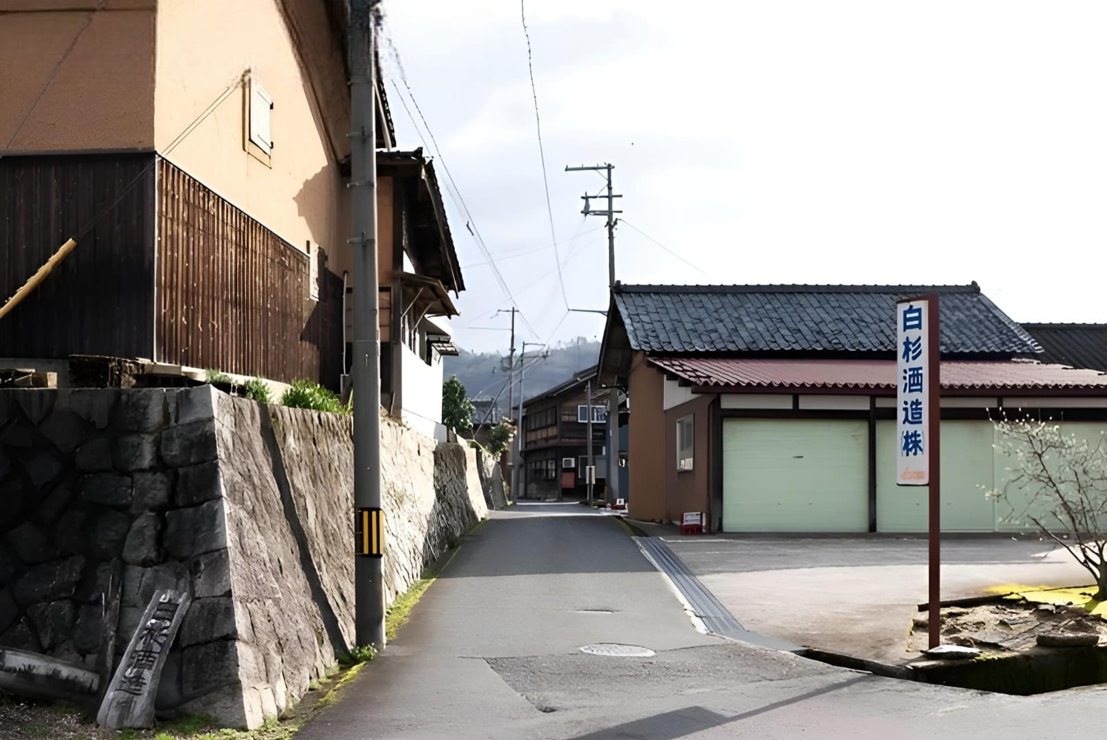 白杉酒造