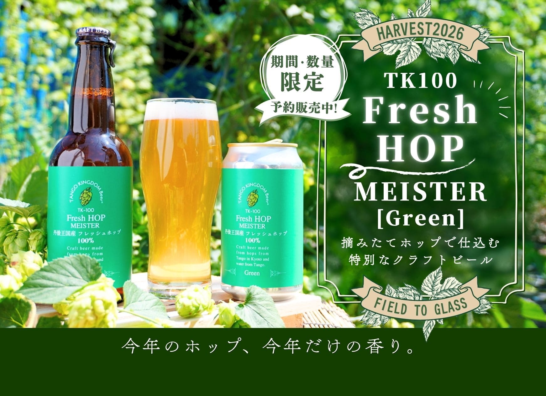予約販売開始！TK100-Fresh HOP MEISTER [Green] 期間・数量限定