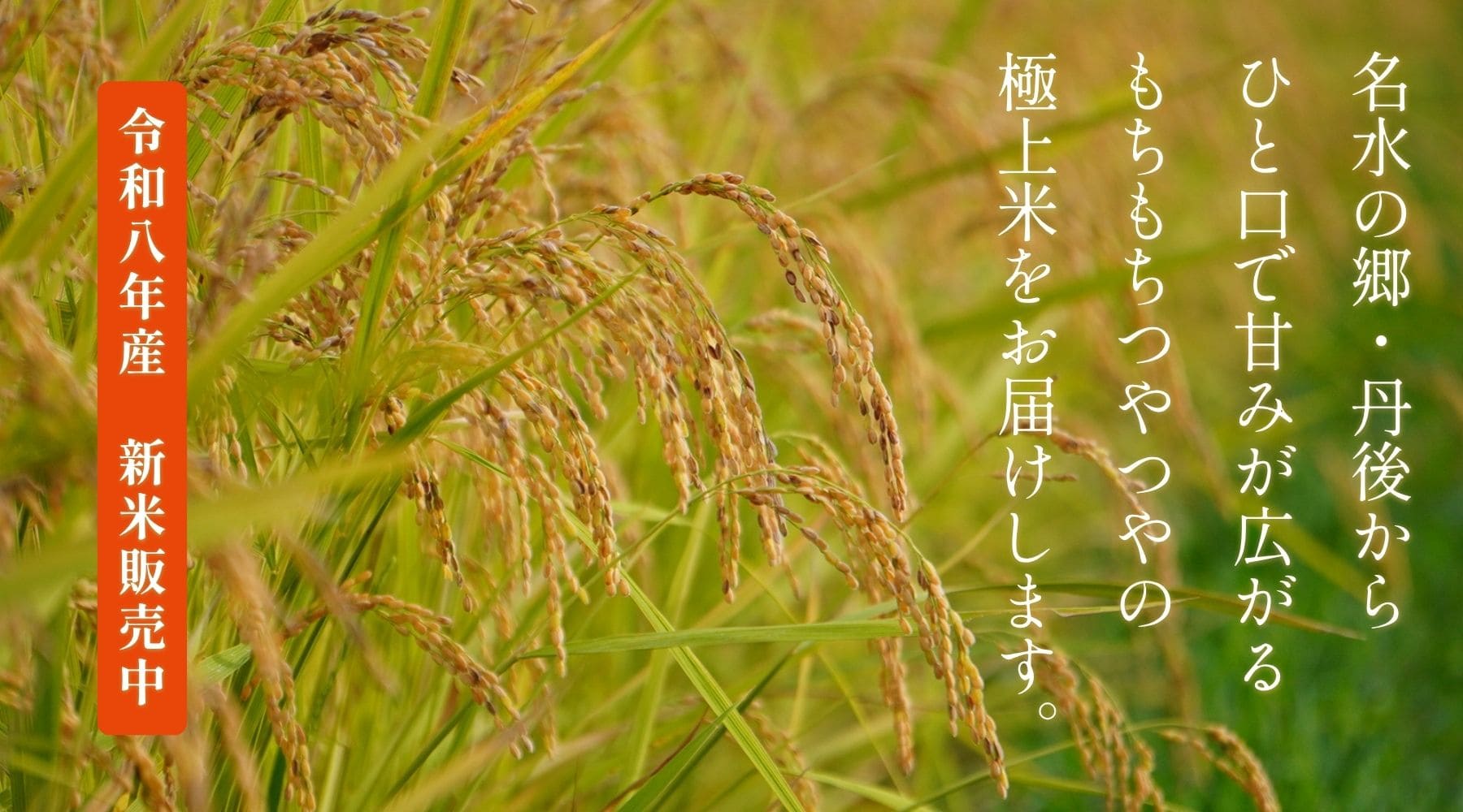令和8年産丹後の新米をお届け致します。
