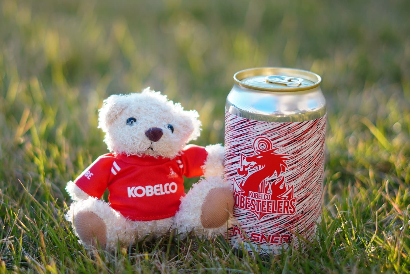 ピルスナー コベルコ神戸スティーラーズ × 丹後王国ブルワリー 2025コラボ缶 PILSNER