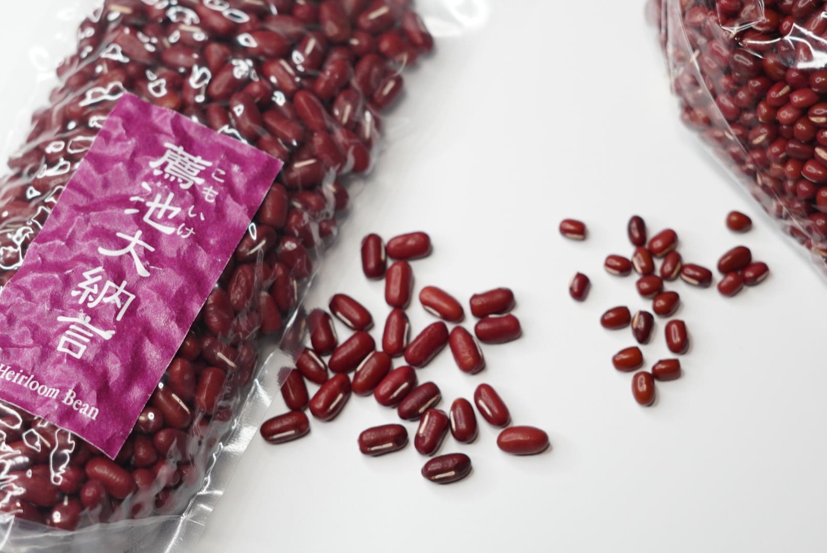 薦池大納言と一般的な小豆の大きさ比較