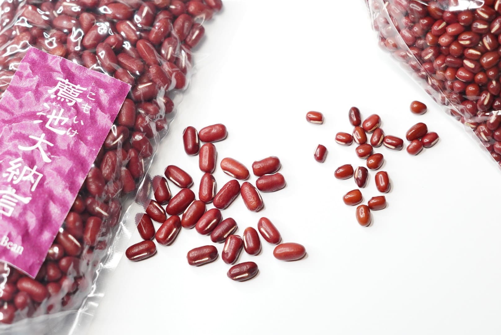 薦池大納言と一般的な小豆の比較