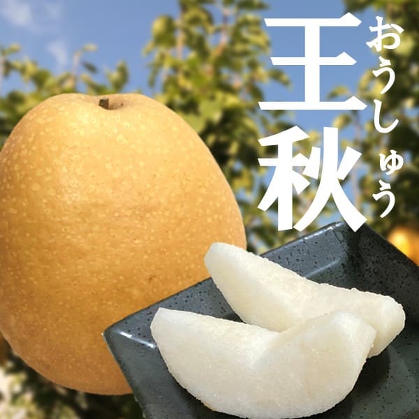 丹後の梨 王秋（おうしゅう）