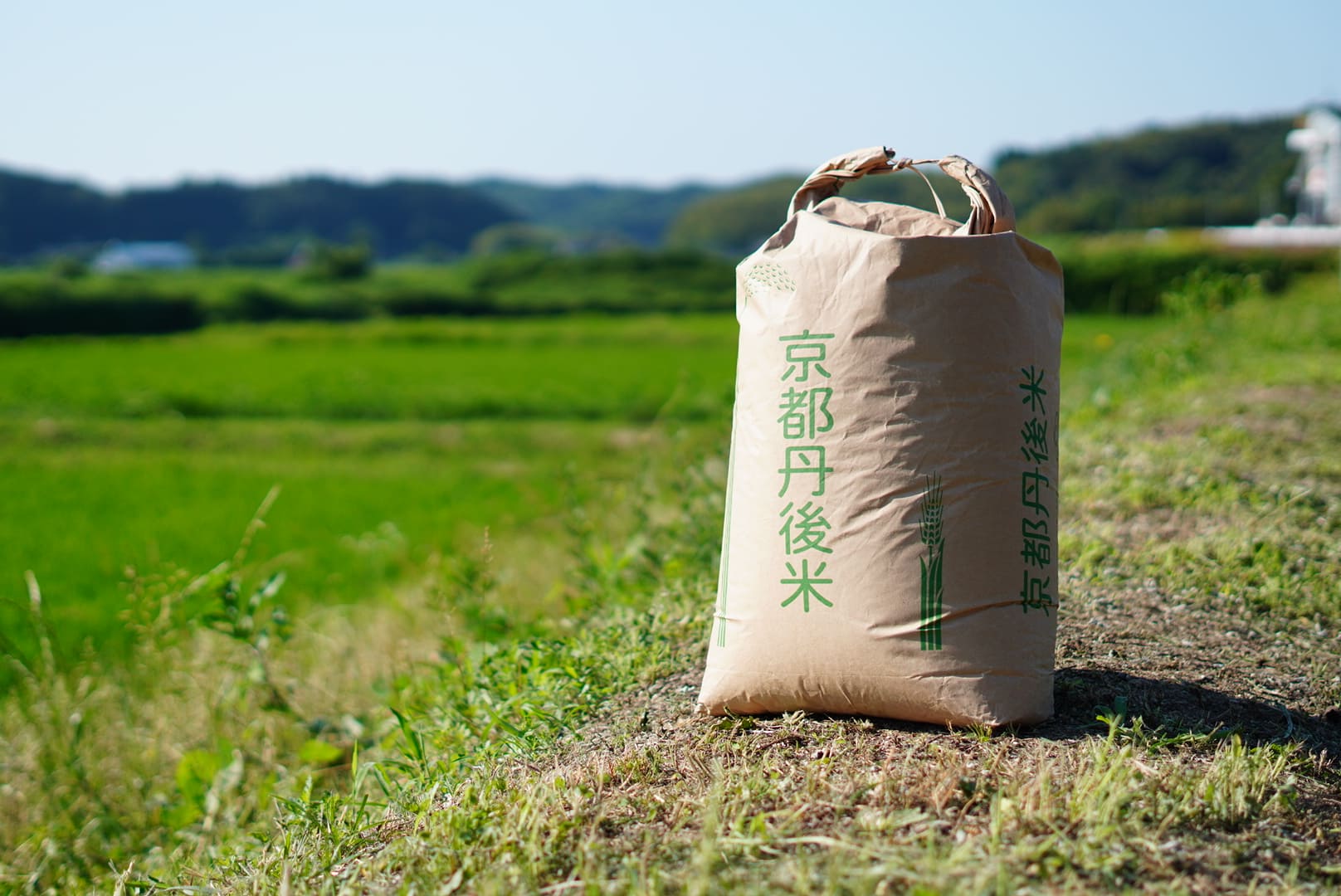 丹後のコシヒカリ 30kg 玄米