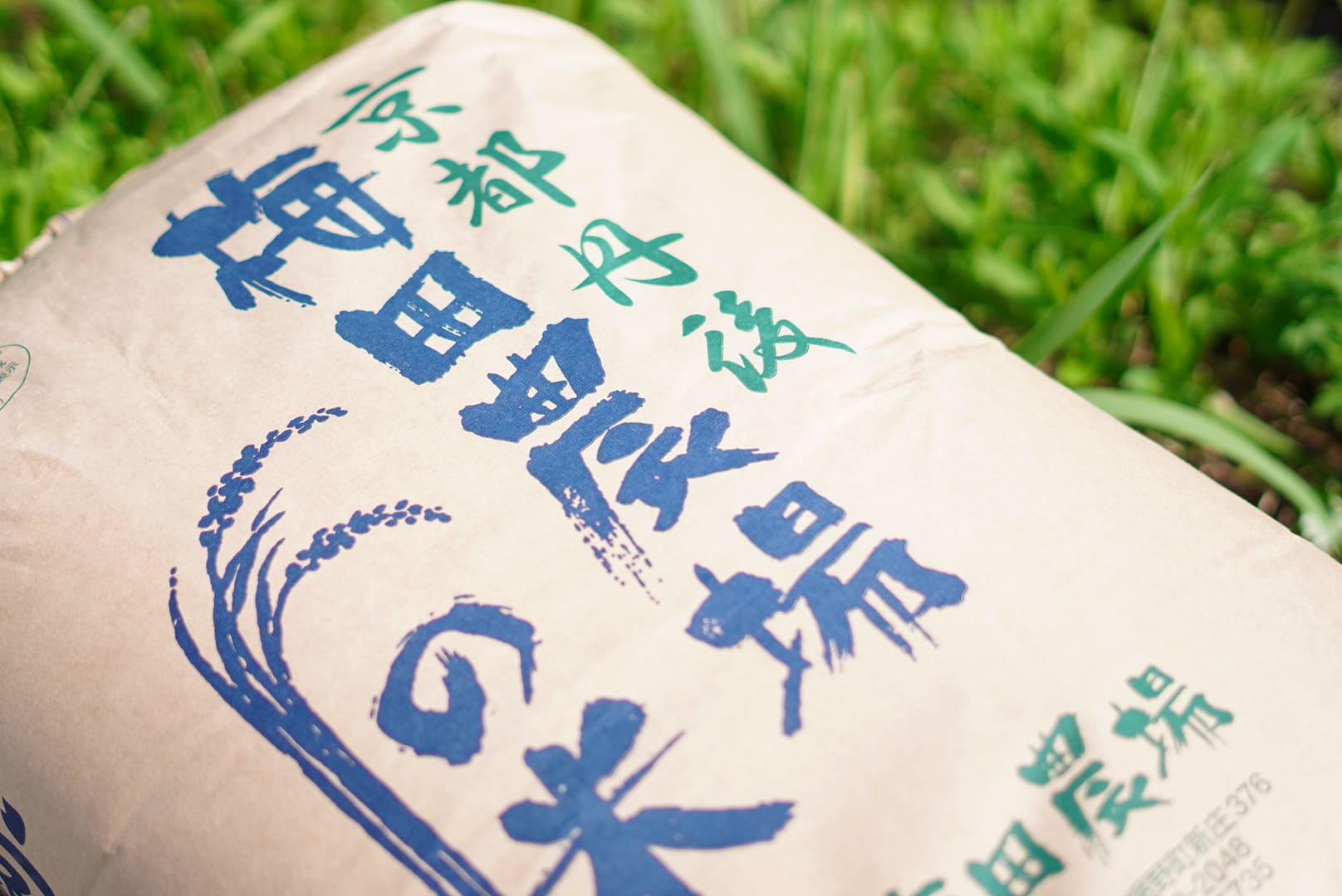 丹後のお米 ミルキークイーン 30kg（玄米）