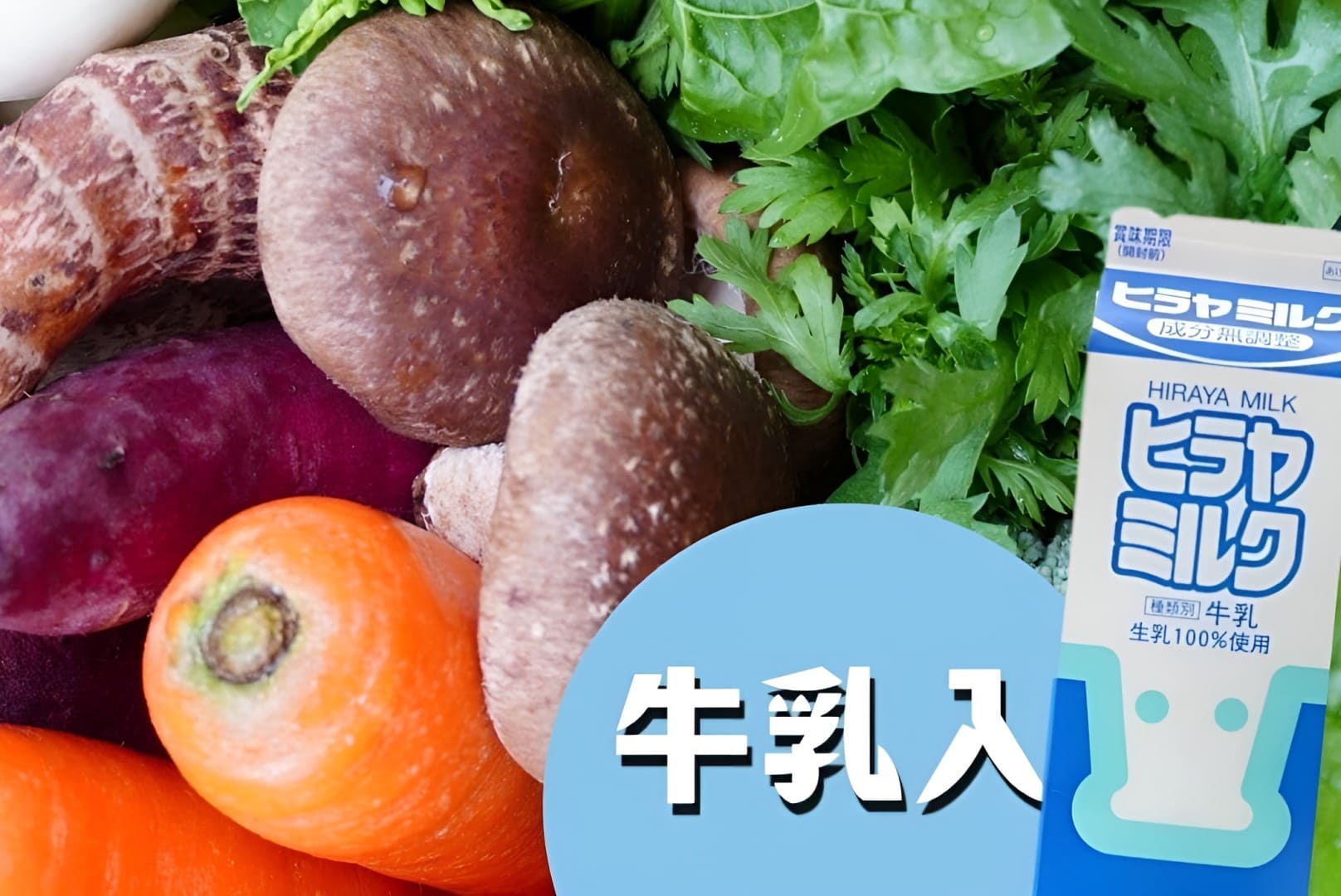 丹後・旬の野菜6~8種とヒラヤミルクセット