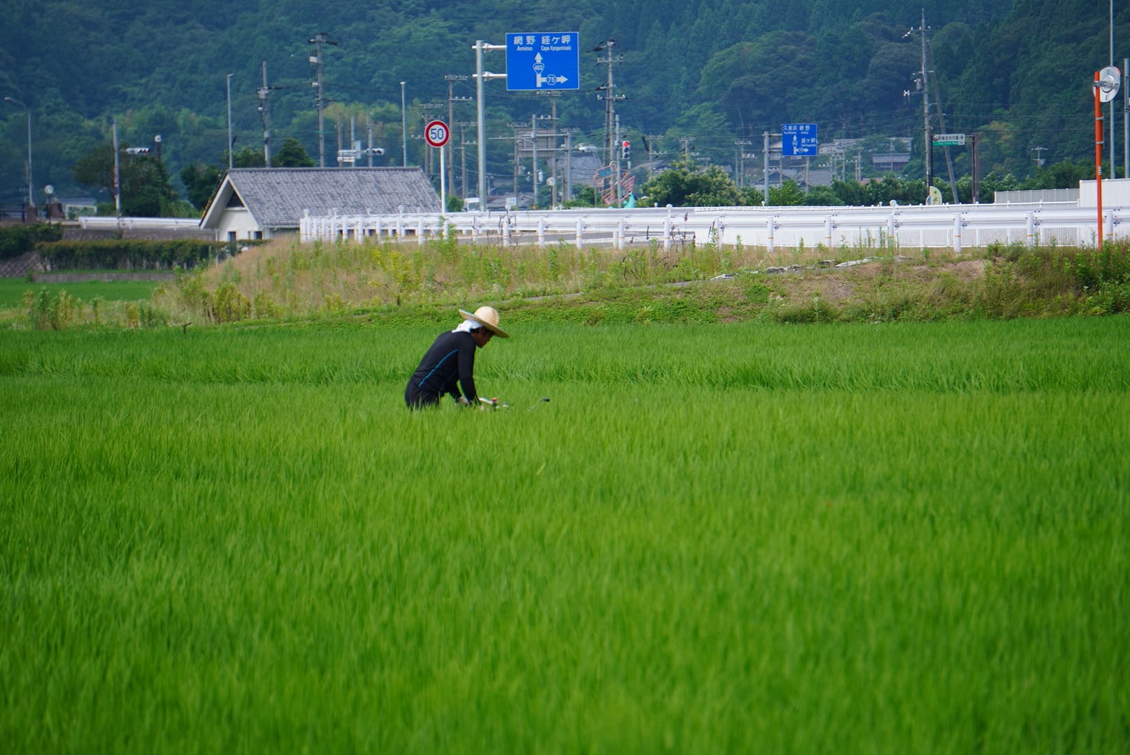 上羽農園 上羽栄一さん 京丹後