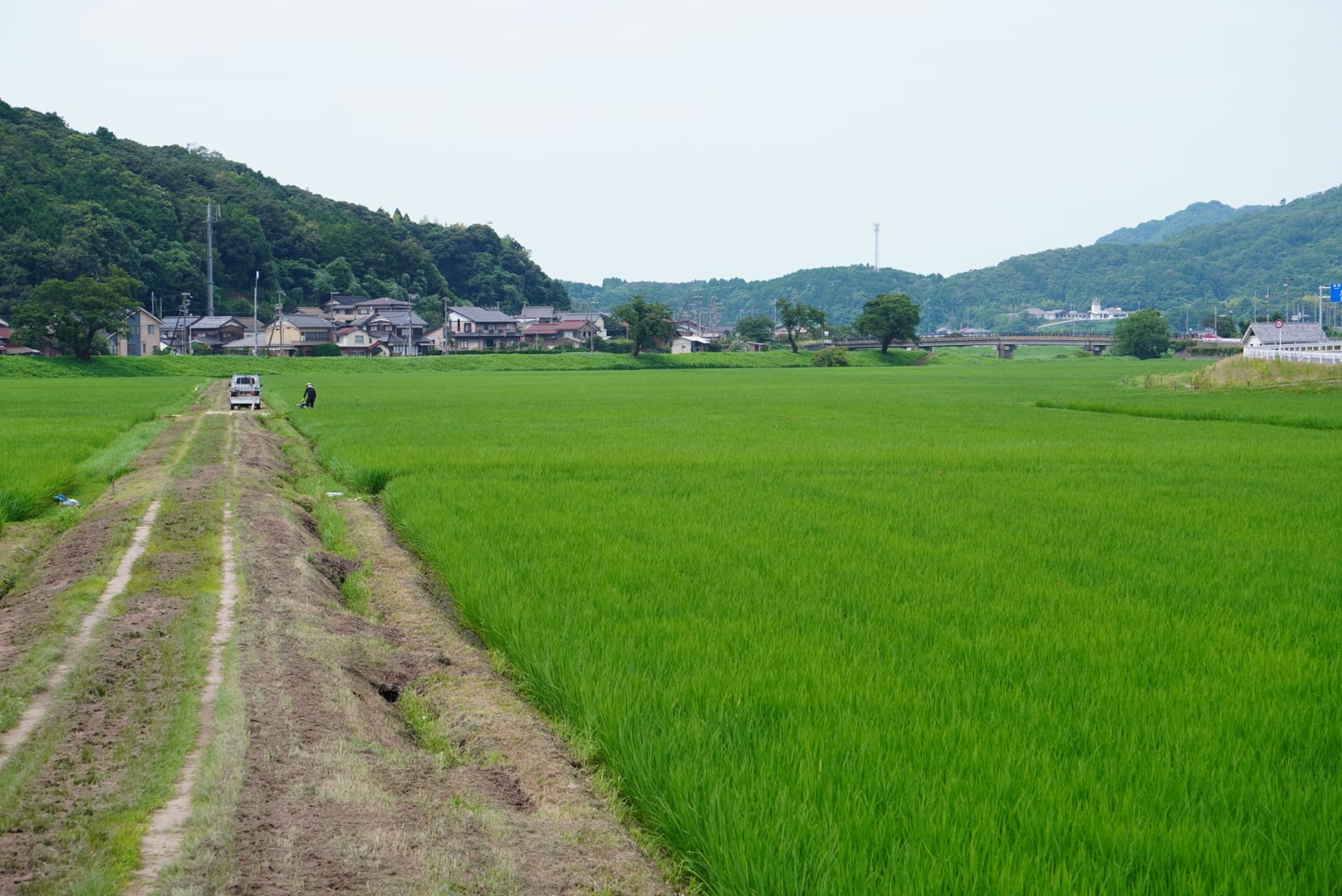 京丹後の生産者　上羽農園さん