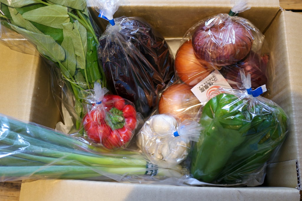 京丹後 旬の野菜