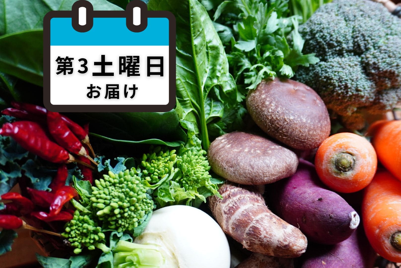野菜の定期便　第三土曜日お届け
