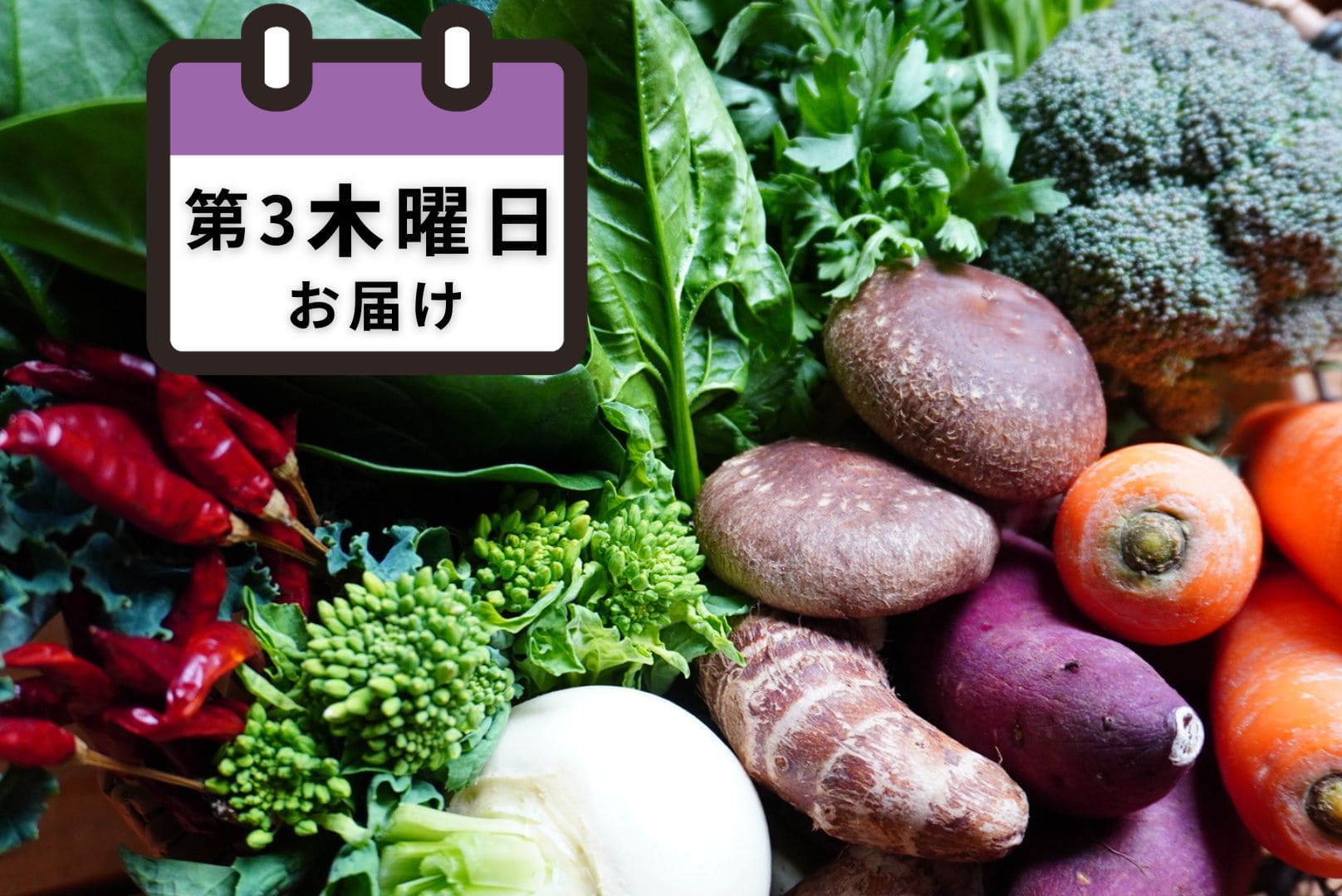 野菜の定期便　第三木曜日お届け
