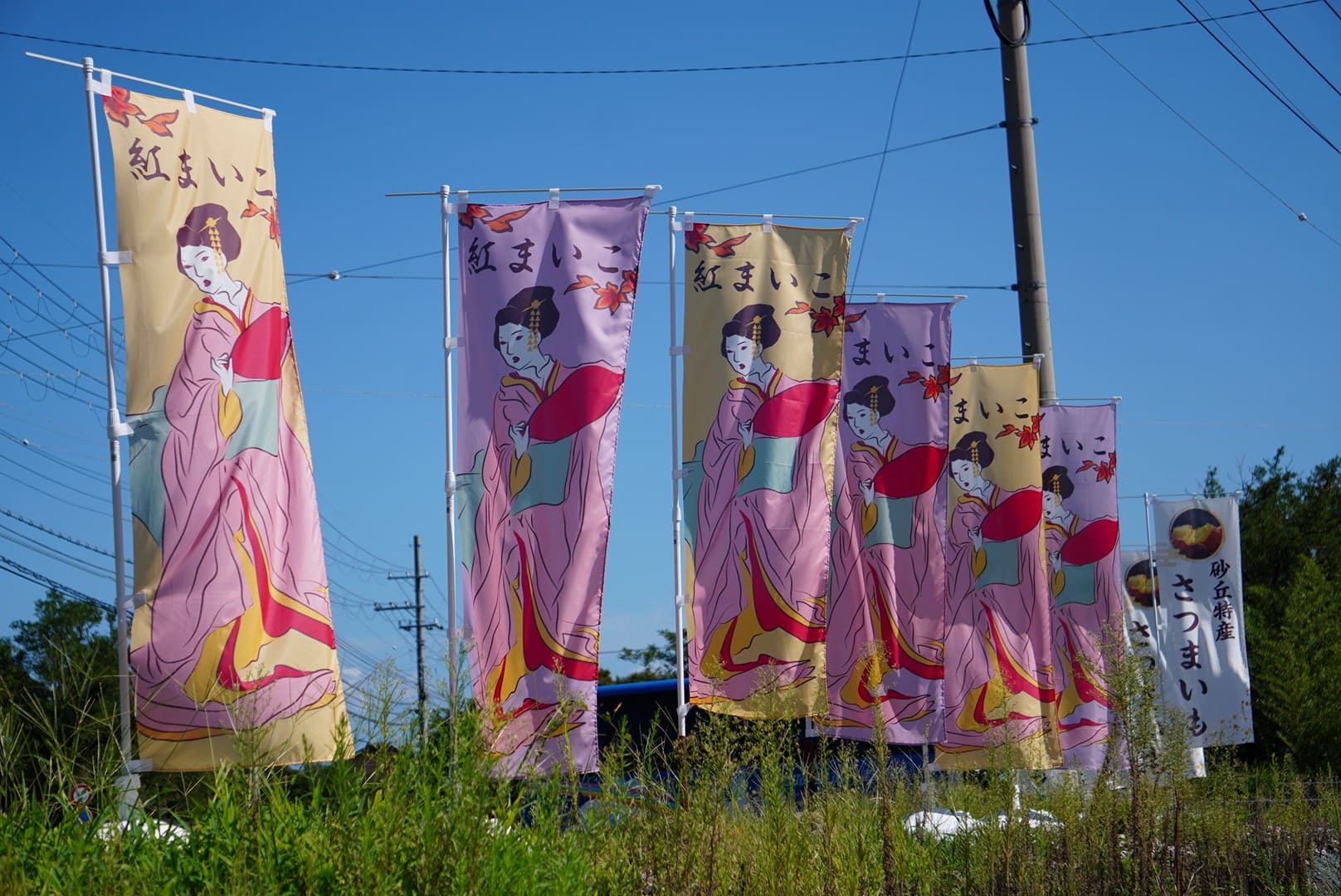 紅まいこののぼり