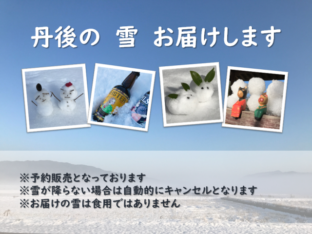 雪販売
