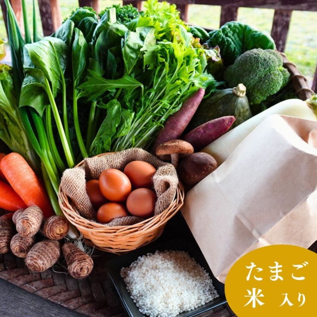 丹後・旬の野菜6~8種とこだわり卵と丹後の米詰め合わせセット