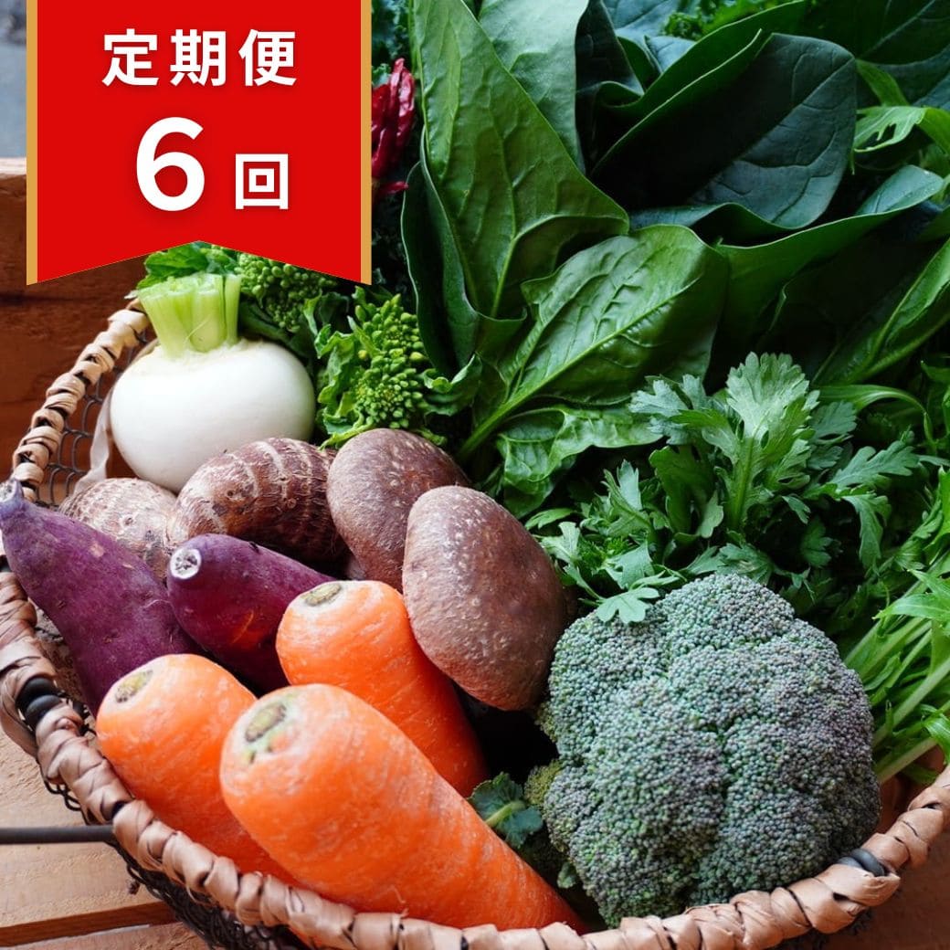 野菜の定期便　お届け回数6回